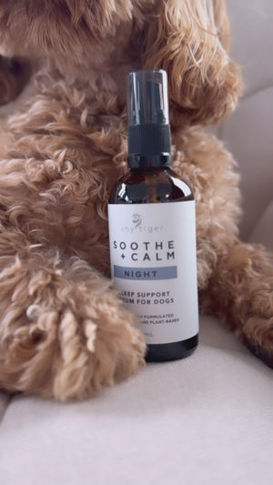 Soothe + Calm Night Stress Serum for Dogs