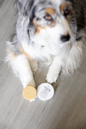 Soothe + Skin Wash - Solid Shampoo Bar for Dogs