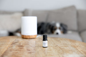 Soothe and Calm Day Stress Diffuse for Dogs