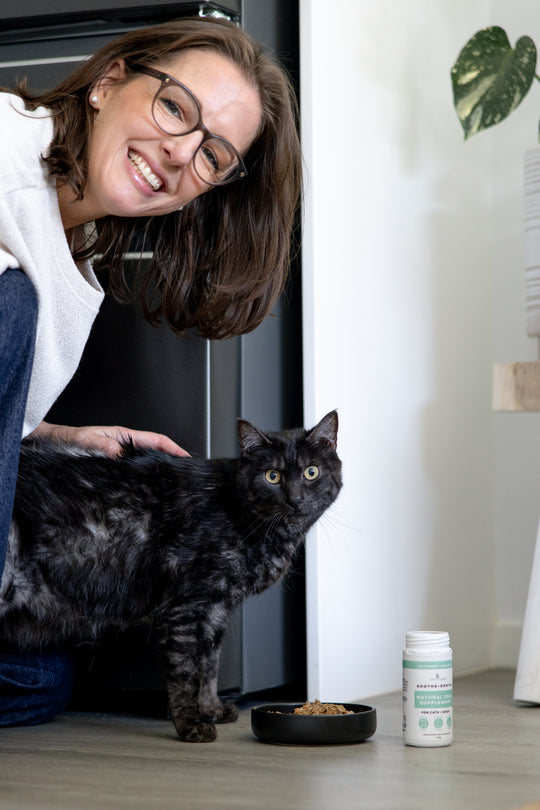Vet-formulated Dental Supplement For Cat Dental Health, Made with All Natural Ingredients, Made in Australia by Shy Tiger