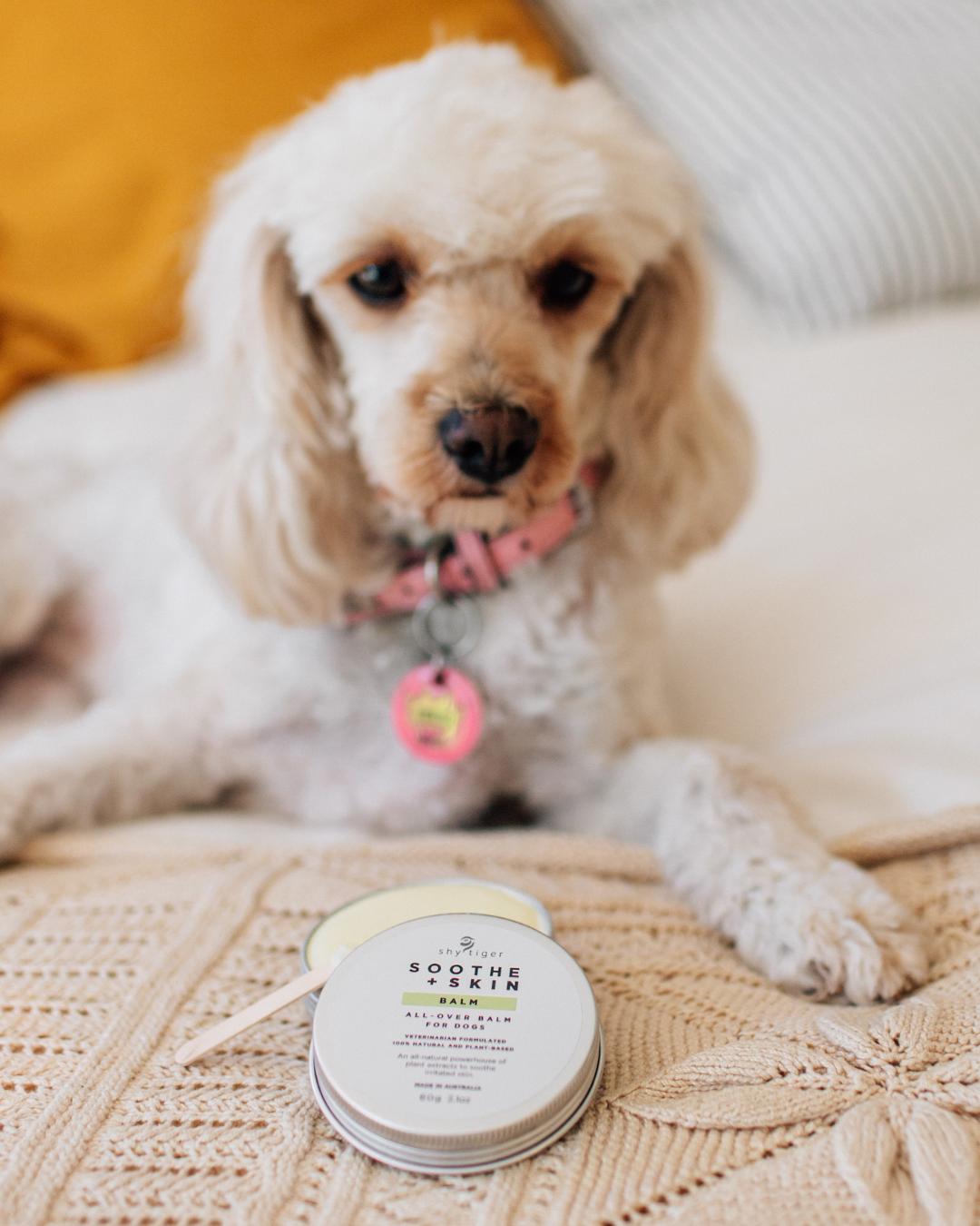 Skin Balm for Dogs, Vet-formulated to moisturise and relieve itchy skin, Made in Australia by Shy Tiger