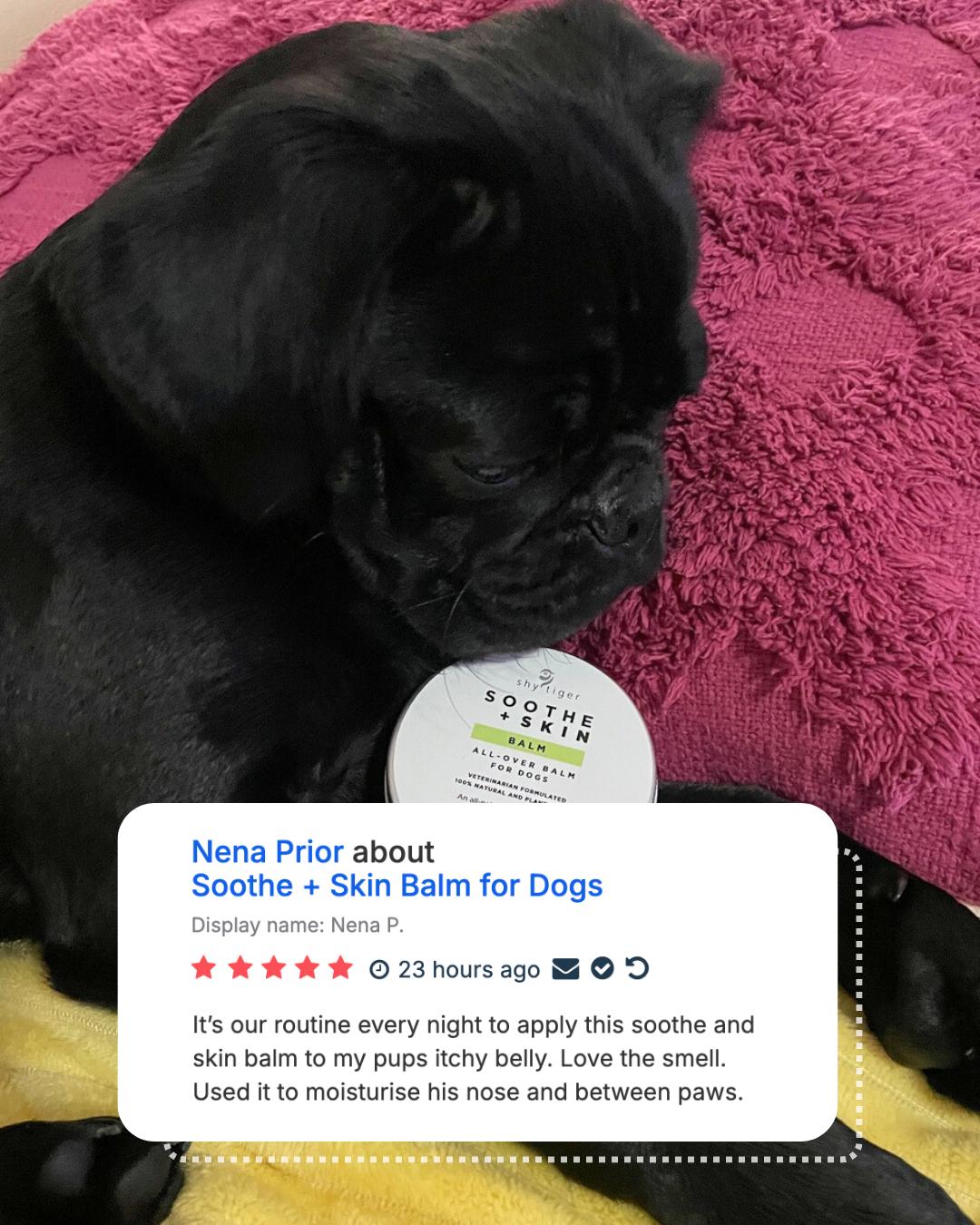Vet-formulated, Natural Skin Balm for Dogs, Made in Australia by Shy Tiger