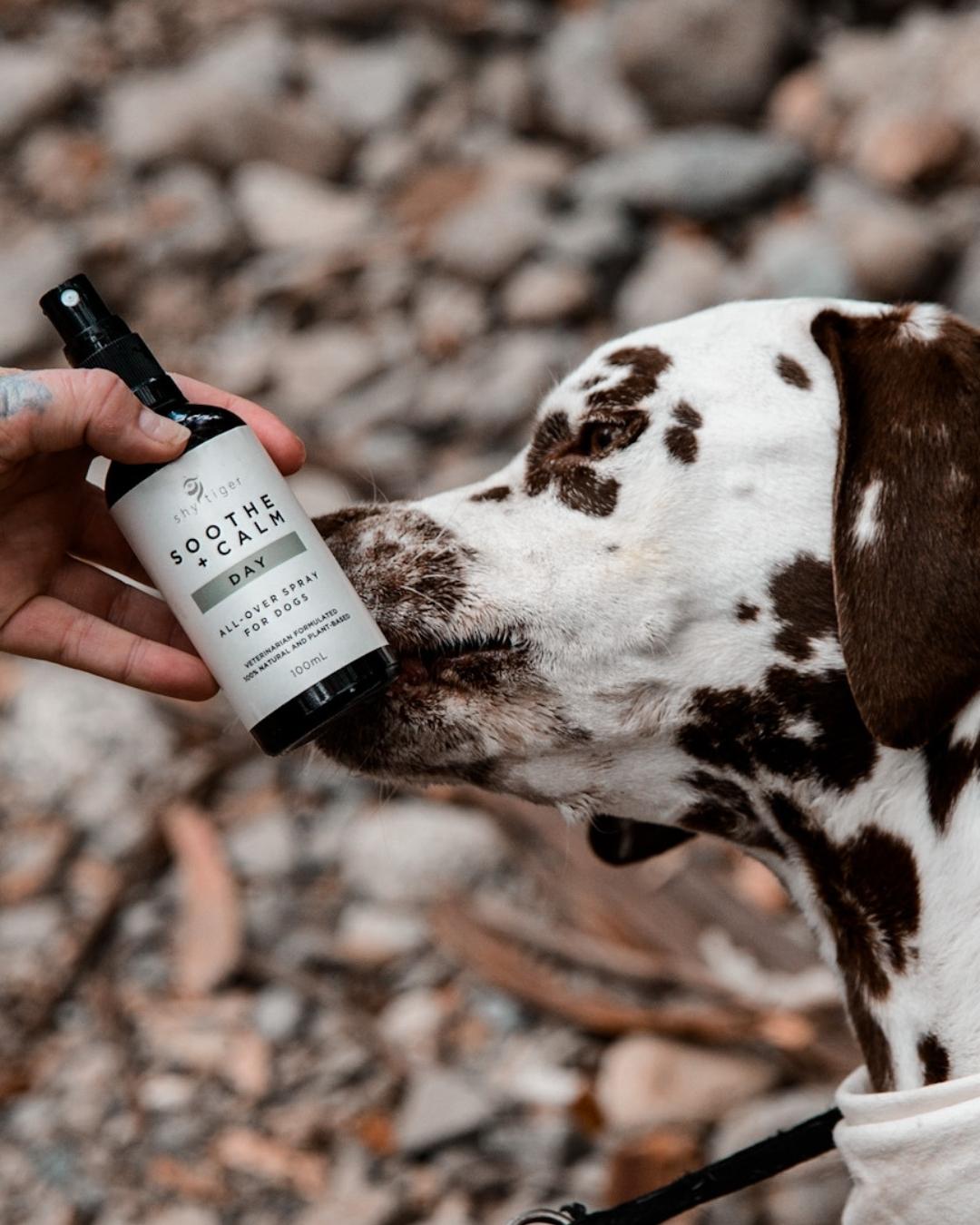 Vet-formulated, Natural Stress Spray for dogs, Immediate Stress Relief Solution, Made in Australia by Shy Tiger